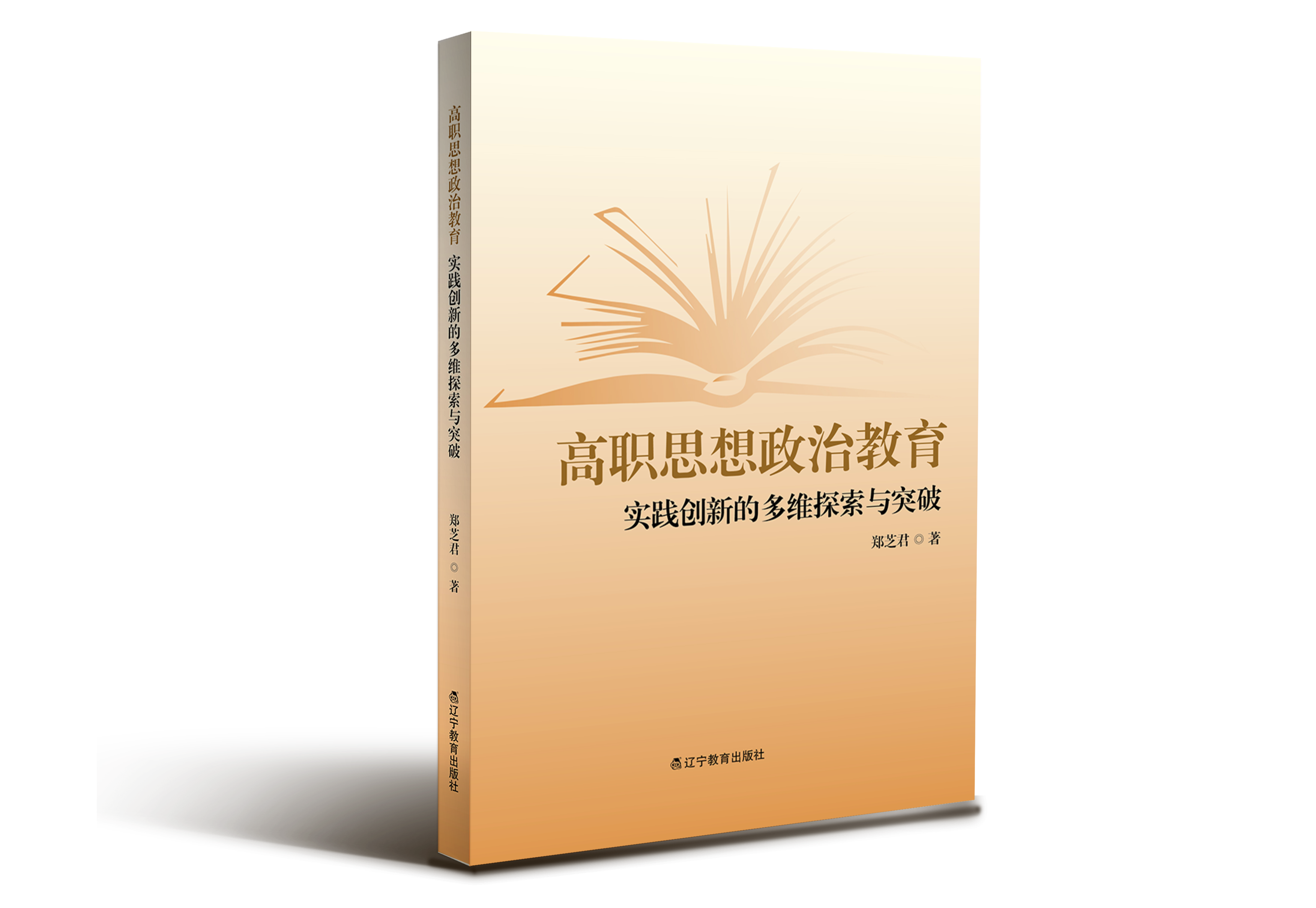 高职思想政治教育：实践创新的多维探索与突破"